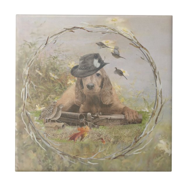 Inglês Cocker Spaniel (Frente)