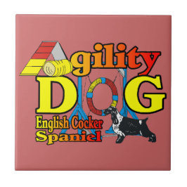 Inglês Cocker Spaniel Agilidade