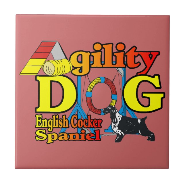Inglês Cocker Spaniel Agilidade (Frente)