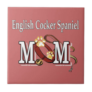 Inglês Cocker Spaniel Mamãe Oferece
