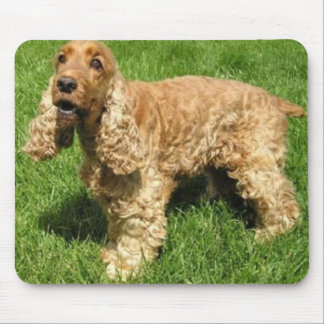 Inglês cocker spaniel Mousepad