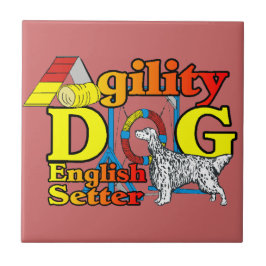 Inglês Setter Agilidade