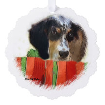 Inglês Setter Christmas