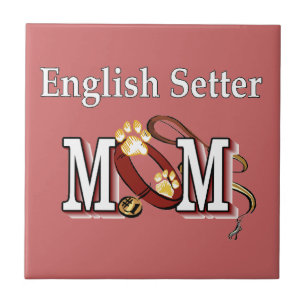Inglês Setter Mãe Oferta
