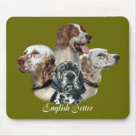 Inglês Setter não pode ter apenas um mouse pad