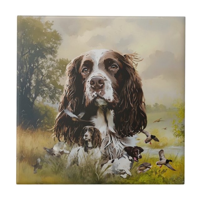 Inglês Springer Spaniel (Frente)