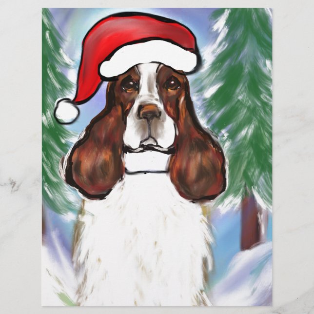 INGLÊS SPRINGER SPANIEL (Frente)