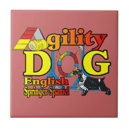 Inglês Springer Spaniel Agilidade