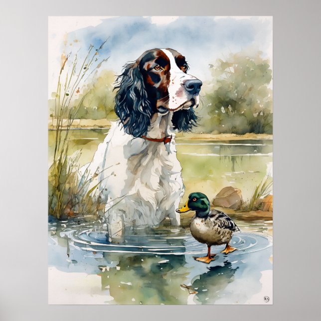 Inglês Springer Spaniel - Impressão de Arte Canina (Frente)