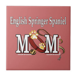 Inglês Springer Spaniel Mamãe Oferta