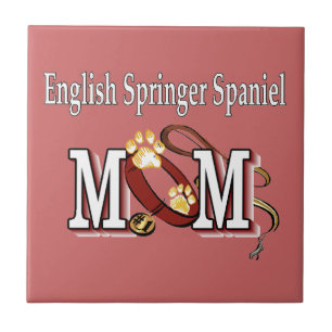 Inglês Springer Spaniel Mamãe Oferta