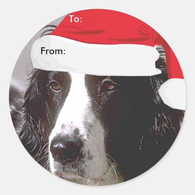 Inglês Springer Spaniel Para/De Adesivos Xmas (Frente)