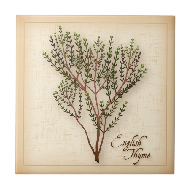 Inglês Thyme Herb (Frente)