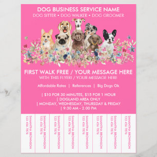 Ingresso orçamento de passeador de cães de raças f