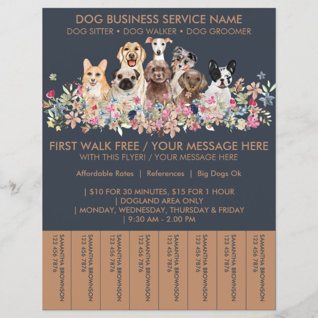 Ingressos para Panfleto de Passeador de Cães de Ra (Frente)