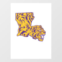 Inicialização do Tigre Original em Cor