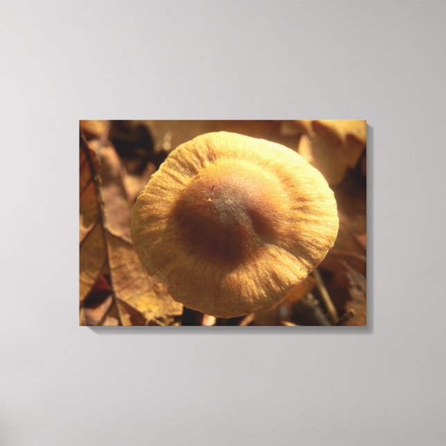 Inocybe napipps Mushroom Canvas Print (Frente)