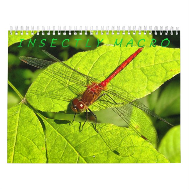 Insetar Calendário de Fotografia de Macro (Capa)