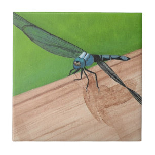 Inseto Dragonfly Azul em um Azulejo de trilho