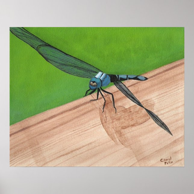 Inseto Dragonfly Azul em um Poster de trilho (Frente)