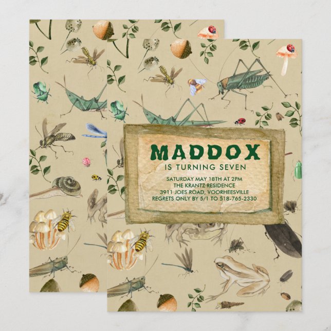 Inseto Vintage - Convite de aniversário (Frente/Verso)