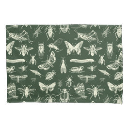 Insetos Antigos Científicos Insetos Creme e Verde