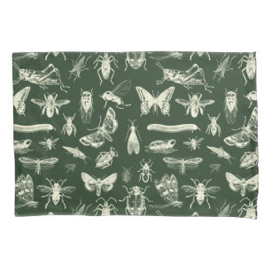 Insetos Antigos Científicos Insetos Creme e Verde