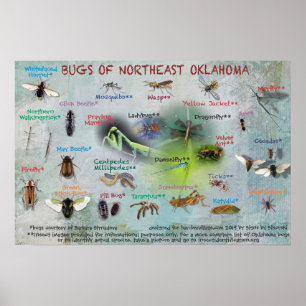 insetos do nordeste de Oklahoma poster 19