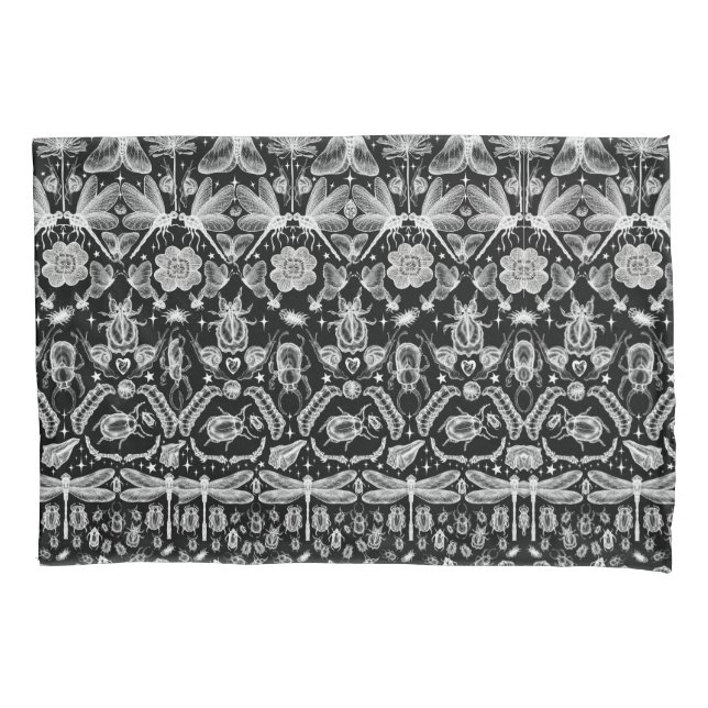 Insetos e Insetos (Frente)