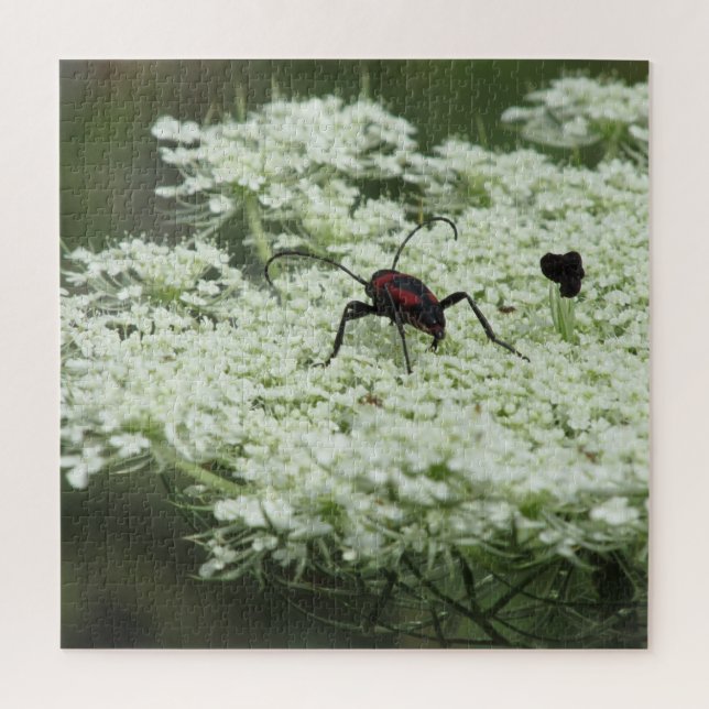 Insetos em Elderflower Jigsee Quebra-cabeça (Vertical)