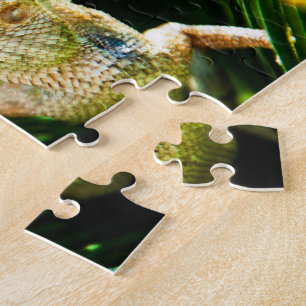 insetos - quebra-cabeça