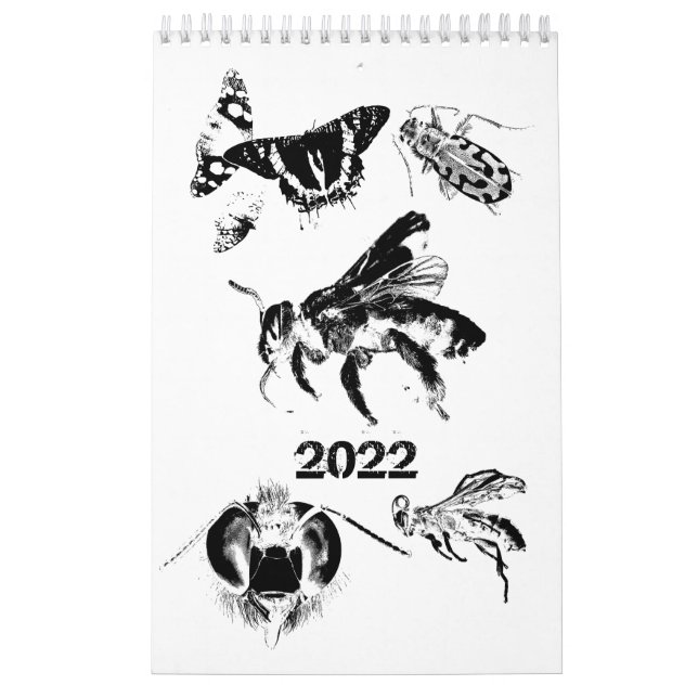 Insetos World - Insetos - Calendário 2022 (Capa)