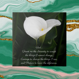Inspiração Serenity Prayer White Calla Lily