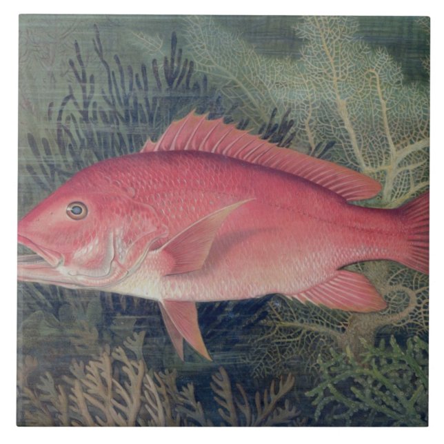 Instantâneo Vermelho, de 'Peixes de Jogo dos Estad (Frente)