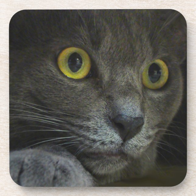 Intensidade de Porta copos (Frente)