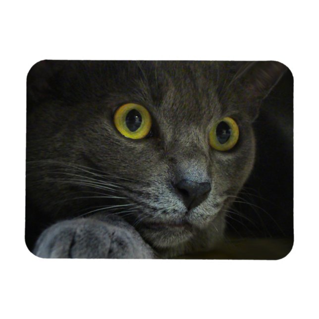 Intensidade do ímã flexível (Horizontal)