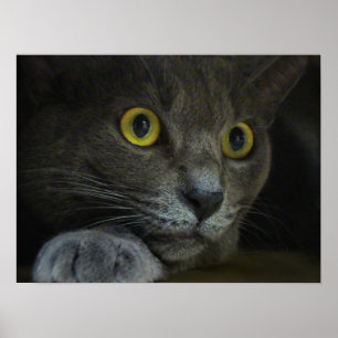 Intensidade Impressão