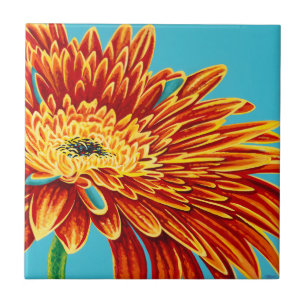 Intermitências de cores I