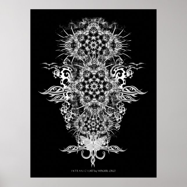 INTRAKiZI Poster (Frente)