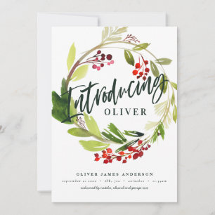 Introdução botânica natalícia anúncio de nasc