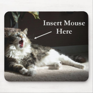 Introduza o rato aqui Mousepad