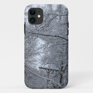 Inverno, capas de iphone de Boston
