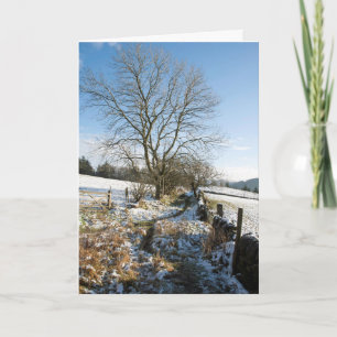 Inverno - Cartão Floresta Macclesfield
