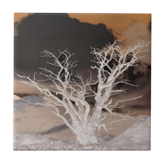 INVERNO DE MONTANHA (Frente)