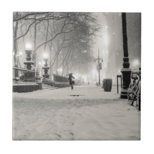 Inverno de New York - noite nevado - parque de
