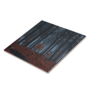 Inverno Deixa Azulejo/Trivet Decorativo