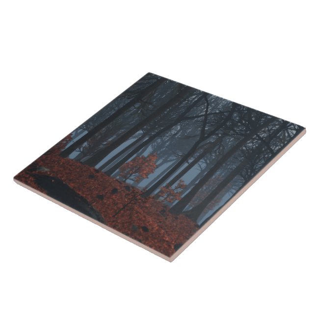 Inverno Deixa Azulejo/Trivet Decorativo (Lateral)