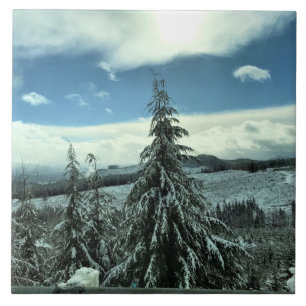 Inverno na Floresta Estadual de Tillamook, Oregon