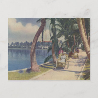 Inverno na Flórida, cartão postal de 1908