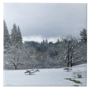 Inverno no parque, Wilsonville, OR